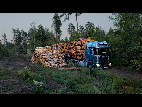 Simple reversing.  Loading birch, pine and spruce pulpwood