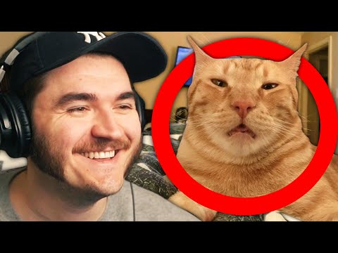 Schlatt Ranks EVERY SINGLE TikTok EVER