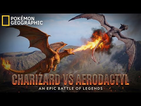 Charizard vs Aerodactyl – The Ruler of the Volcanic Skies (Pokémon Documentary)