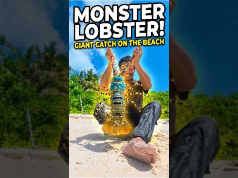 Surviving Alone on a Deserted Island – No Food, No Water part 2