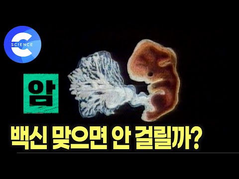 암, 예방할 수 있을까? 암세포만 파괴하는 면역세포 등장 | 암 발병 원인부터 백신 치료까지! 면역학자가 들려주는 암 이야기