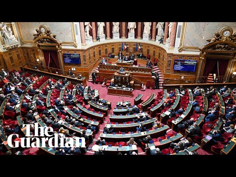 French Senate votes on social media ban for children under 15 – watch live