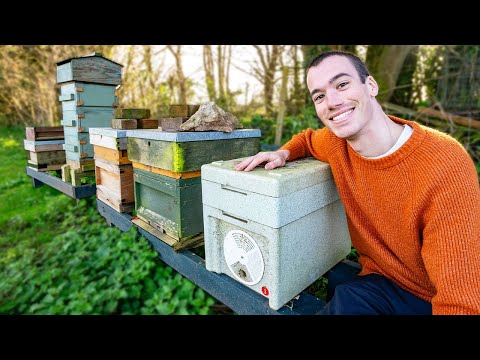 Preparing for my 3rd Year of Beekeeping - Building hives, cleaning equipment and getting more bees