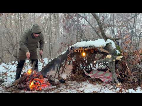 Extreme Winter Bushcraft Survival _No Tent,No Sleeping Bag ,Just Fire and Skill(OF/-11C) ASMR 