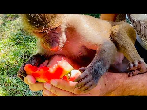 Влад в ШОКЕ, мы вообще стали не нужны Степе и Мане, у них теперь правит МАМА-ЛЮСЯ(((
