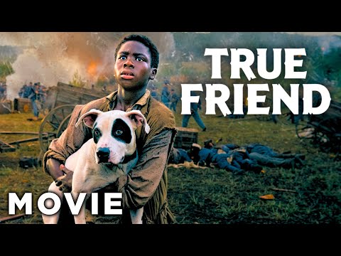 The Dog That Saved Him | True Friend | Full Survival Drama