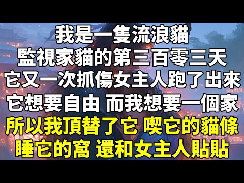 我是一隻流浪貓，監視家貓的第三百零三天，它又一次抓傷女主人跑了出來。它想要自由，而我想要一個家。所以我頂替了它，喫它的貓條，睡它的窩，還和女主人貼貼。