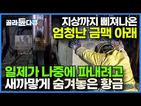 땅 위에 솟아오른 금맥! 그 아래 숨겨진 우리나라 최고의 금광┃일제가 숨겨놓은 한국의 금광┃떨어진 돌멩이조차 함부로 여겨서는 안되는 이유┃황금을 캐는 사람들┃극한직업┃#골라듄다큐