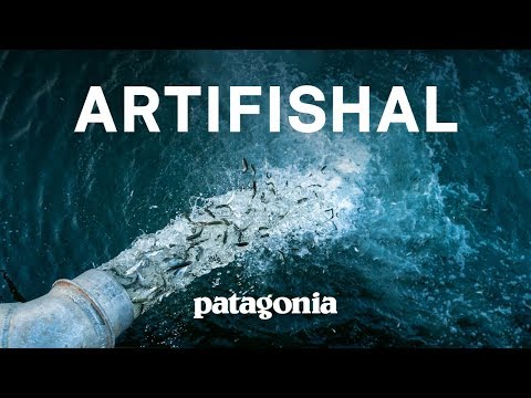 Artifishal: The Fight to Save Wild Salmon | Patagonia Films