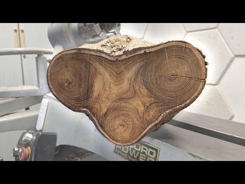 Release the BEAST! - Woodturning a Monster Vase from Laburnum Wood