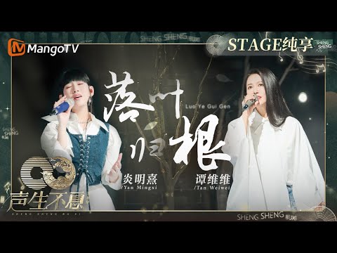 【纯享】#谭维维#炎明熹《#落叶归根》动人歌声搭配优美复古小提琴旋律 让心之所向更难舍难分｜声生不息·家年华 Circle Of Sound EP08｜MangoTV