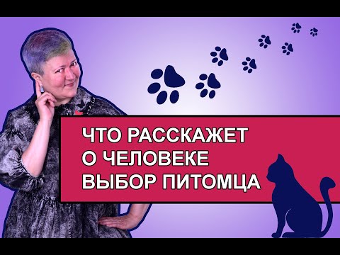 Что расскажет о человеке выбор питомца