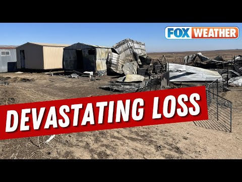 Texas Family Loses Farm, Pigs In Tragic Smokehouse Creek Fire