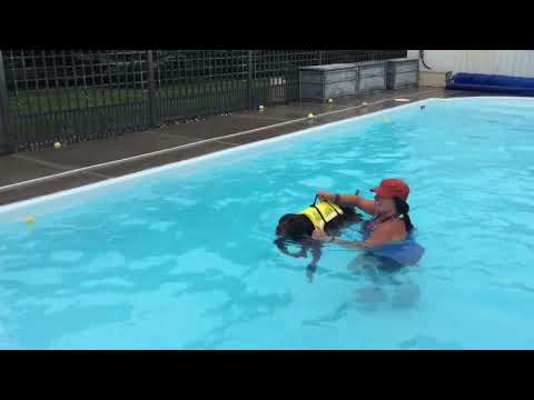 Rocky - Swim Therapy 1