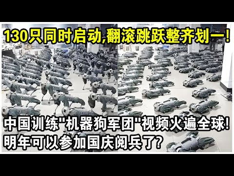 130隻同時啟動，翻滾跳躍，動作整齊劃一！中國訓練“機器狗軍團”視頻火遍全球！明年可以參加國慶閱兵了？