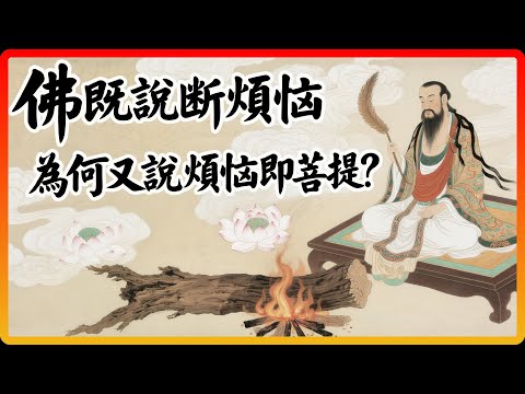 佛說斷煩惱，又說煩惱即菩提？《維摩詰經》揭開了這千年的奧秘！#佛教故事 #佛法 #修行 #開悟 #煩惱即菩提