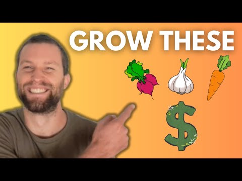 20 High Profit Crops That Made me $85k on 1/3 Acre