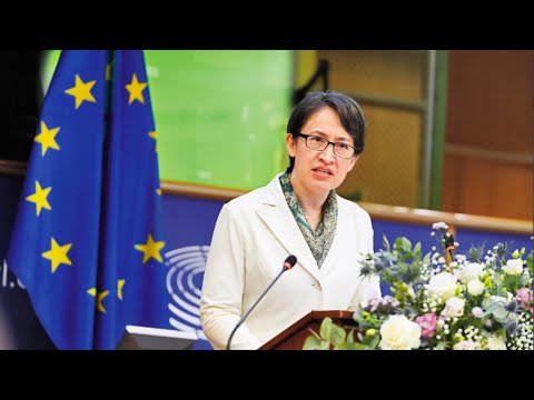 Taiwan's Vice President Hsiao Bi-khim's first speech at the European Parliament drew a strong pro...
