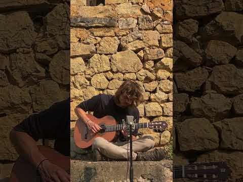 bloom II #meditations #pause #breathe