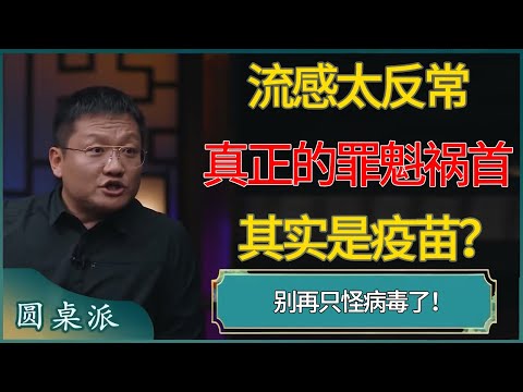 别再只怪病毒了！流感太反常，真正的罪魁祸首是疫苗？   #窦文涛 #梁文道 #马未都 #周轶君 #马家辉 #许子东 #圆桌派  #圆桌派第八季