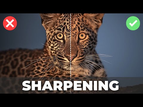 Editing Workflow For SHARPEST Photos Possible