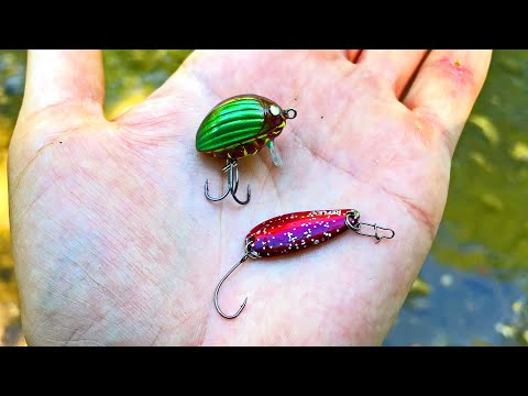 На спиннинг в ручье ЖУК ИЛИ БЛЕСНА ПОЙМАЕТ БОЛЬШЕ? Я давно ждал такую рыбалку!