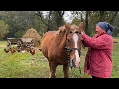 Village Life and Cooking | Family Meals & Farm Chores in the Countryside
