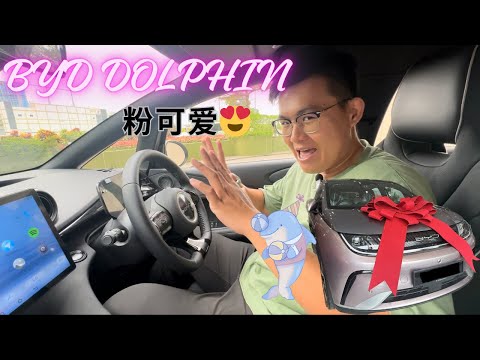 BYD Dolphin 2023 试驾心得｜麻雀虽小，五脏俱全！Ora Good Cat的劲敌？