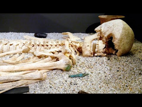 This Burial Site Near Stonehenge was Packed with Arrows