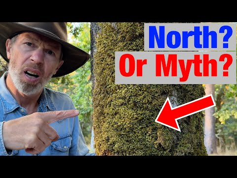 This Survival Myth Could Get You LOST!!!