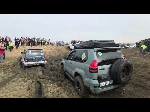 16 ноября 2025 г.