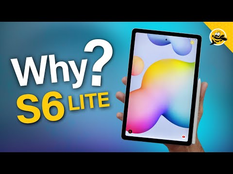 Why is EVERYONE Still Buying the Galaxy Tab S6 Lite?