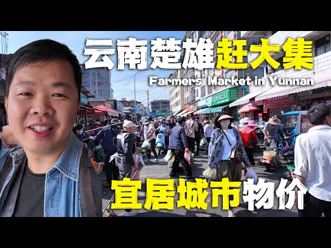 雲南楚雄趕大集，菜市場比景點還好玩！很多山珍奇貨第一次見！🇨🇳 Food Market in Chuxiong Yunnan！
