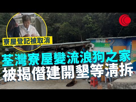 一線搜查｜荃灣寮屋變流浪狗之家 被揭僭建開墾等清拆  寮屋登記被取消 23隻浪浪命運待決｜867集｜有線新聞 林希靈｜ #一線搜查｜HOYTV 77台 #有線  #hoytv #上水