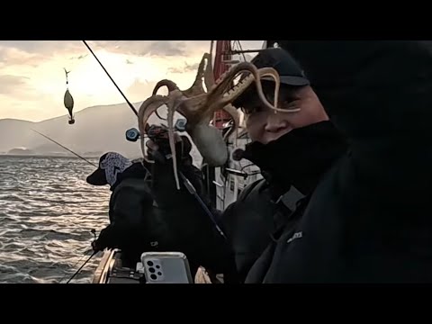 Winter octopus fishing trip #Team squid fishing trip #Goheung Yeomyeongho #King octopus #