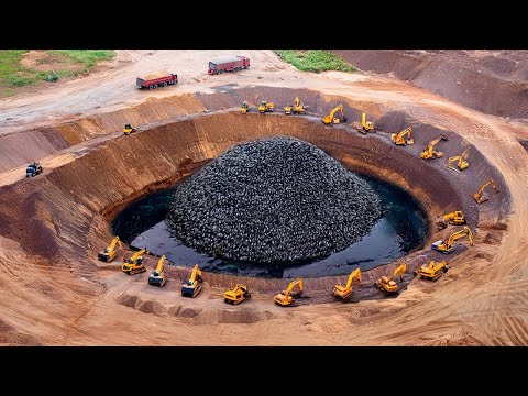 Саудовская Аравия Переселила Миллионы Рыб в Пустыню и Оставила на Год, Результат Был Безумным