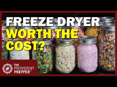 Full Disclosure! Is Freeze-Drying Worth the Cost and Hassle?