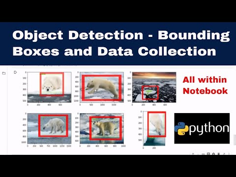 Object Detection - Data Collection and Bounding Boxes using Python