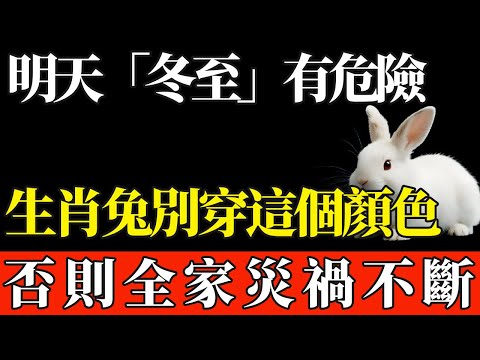 明天「冬至」有危險，生肖兔最好別穿這個顏色，否則全家災禍不斷！【般若之音】#生肖 #運勢 #風水 #財運#命理