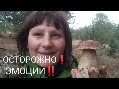 THIS IS A MUSHROOM!!