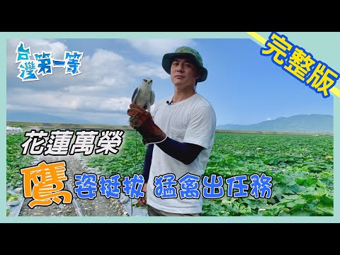 花蓮【鷹姿挺拔 猛禽出任務】│2020.04.19│《台灣第一等》完整版