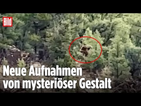 Colorado, USA: Ist DAS wirklich Bigfoot?