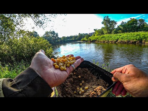 НЕ МОГУ СДВИНУТЬ РЫБУ С МЕСТА! РЫБАЛКА НА ГОРОХ!