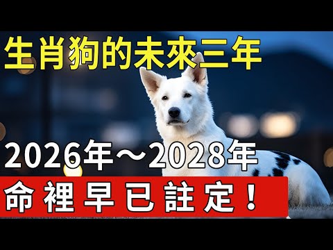 命理神算：生肖狗的未來三年（2026年～2028年），你人生最重要的“分水嶺”！抓住一步，贏下十年！命裡早已註定！【福運生肖】 #運勢 #風水 #佛教 #生肖#先知#風水變化#提升運勢