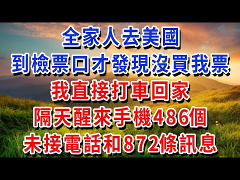 全家人去美國 到檢票口才發現沒買我票 我直接打車回家 隔天醒來手機486個未接電話和872條訊息!!#書婷講故事 #為人處世#生活經驗#情感故事#晚年哲理#說故事#完結文