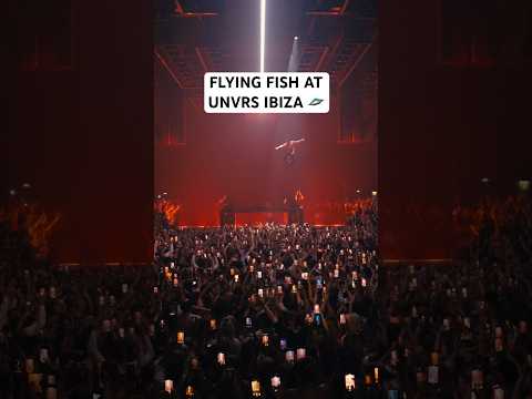 THE FLYING FISH 🤣🤣🛸