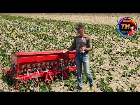 Що натворила китайська зернова сівалка ДТЗ СЗ-14Т оглядамо перші всходи сої❗️