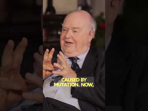 No, Evolution Doesn’t Explain You – John Lennox Explains Why!