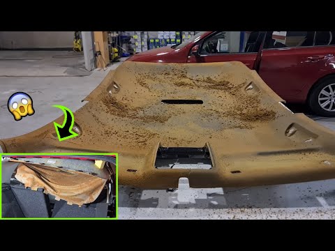 la MEJOR manera de RETAPIZAR el TECHO de tu COCHE🚘