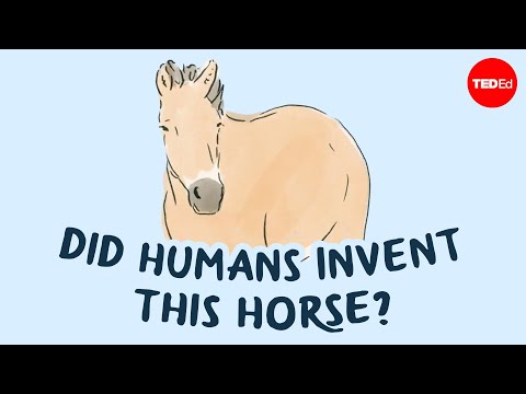 The return of Mongolia's "wild" horses - Nigel Rothfels